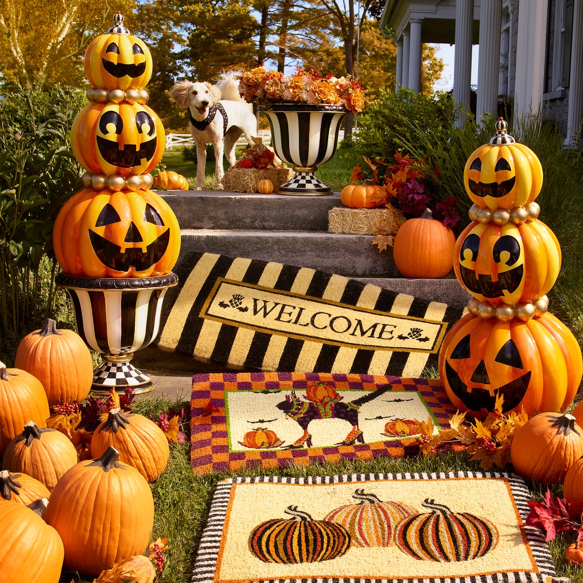 Welcome Awning Stripe Double Door Entrance Mat - Image 5