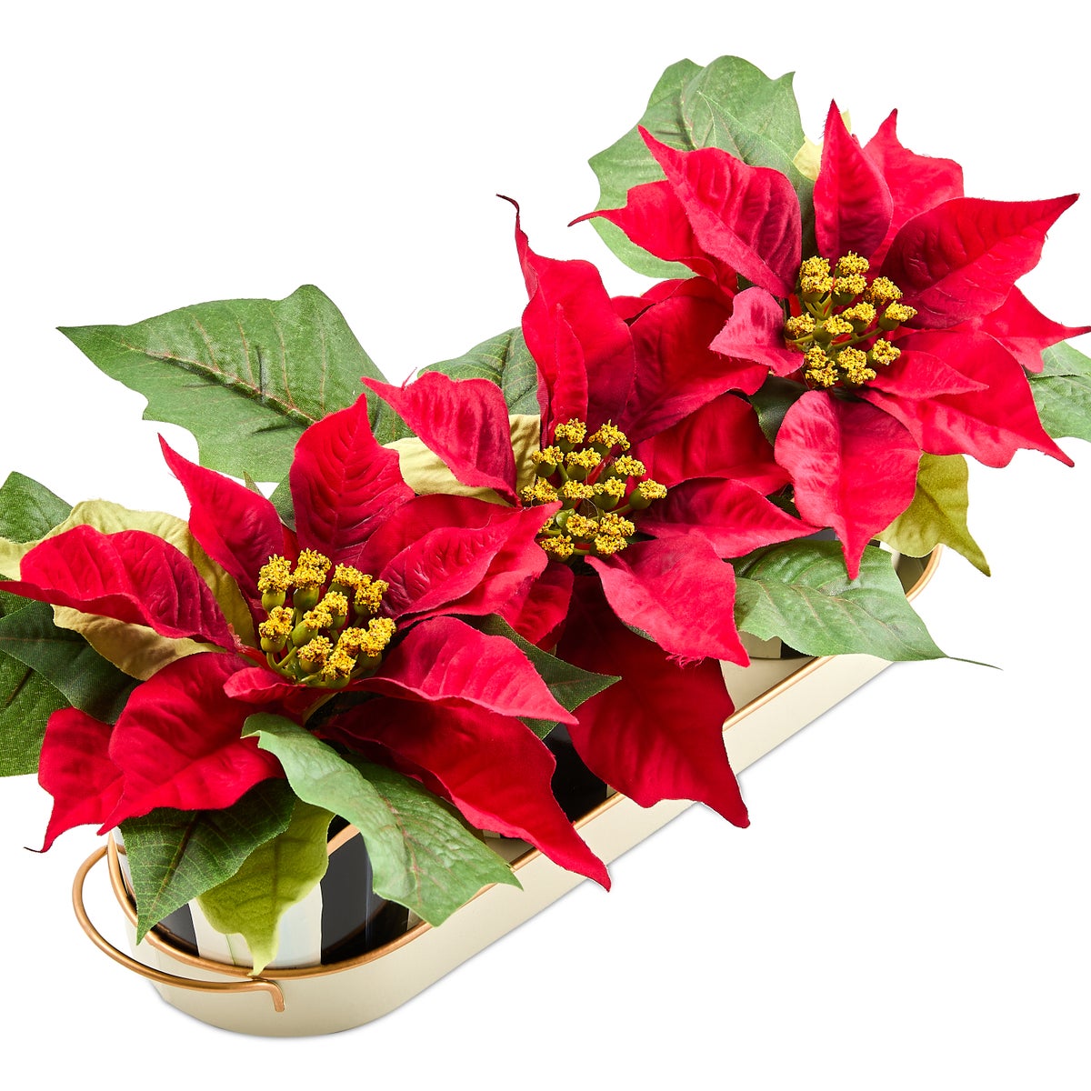 Courtly Stripe Poinsettia Triple Potted Blooms - Image 3