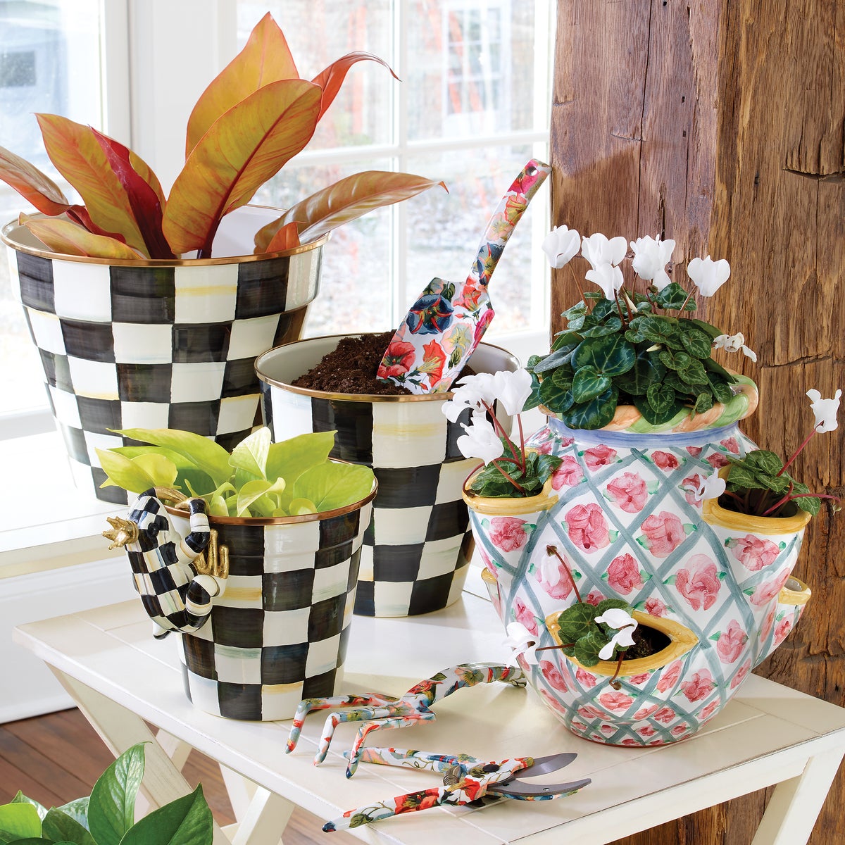 Pot Croaker Pot Climber - Image 2