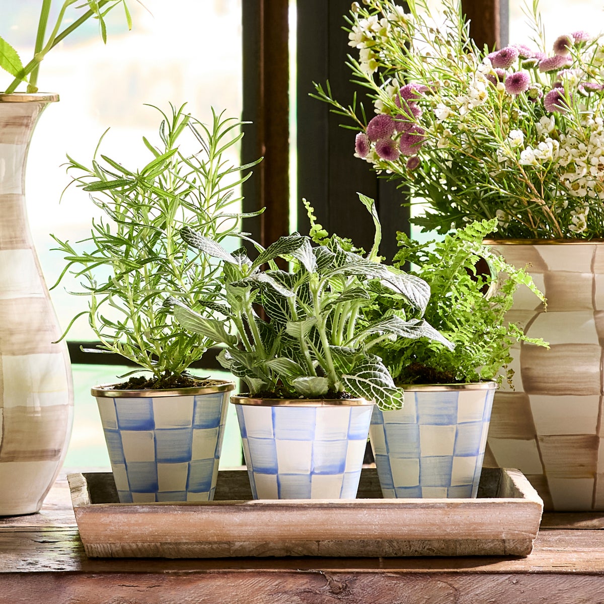 Sky Check Herb Pots, Set of 3 - Image 5