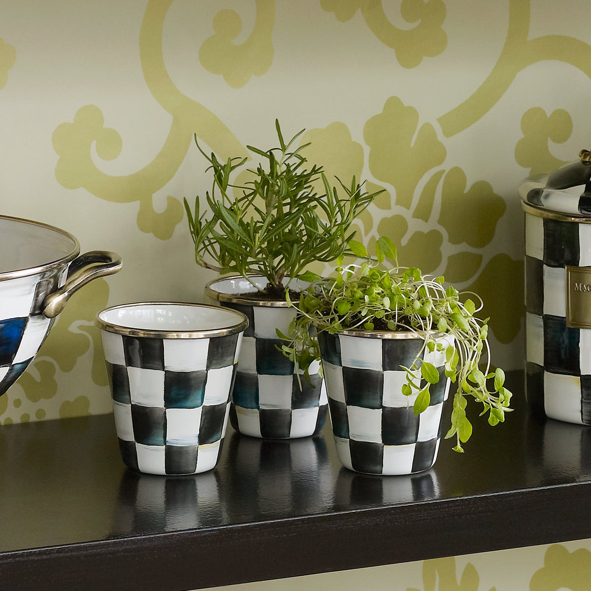 Courtly Check Herb Pots, Set of 3 - Image 8
