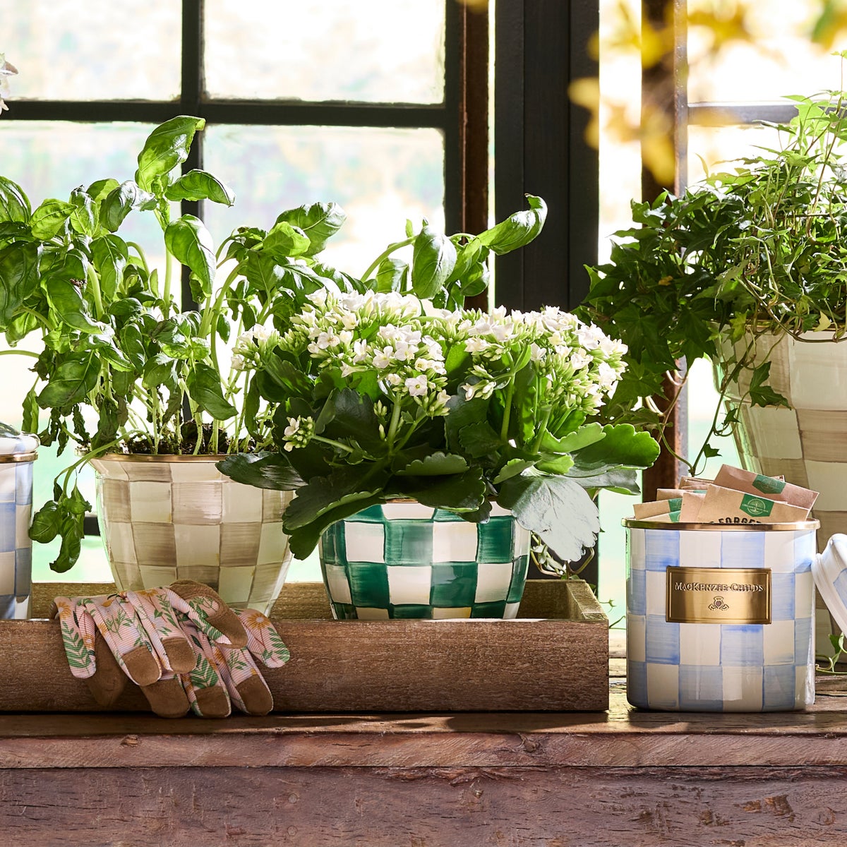 Emerald Check Large Flower Pot - Image 5