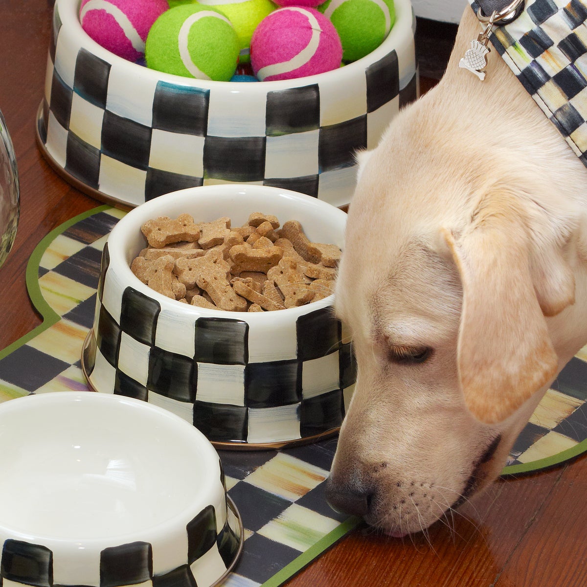 Courtly Check Medium Pet Dish - Image 3
