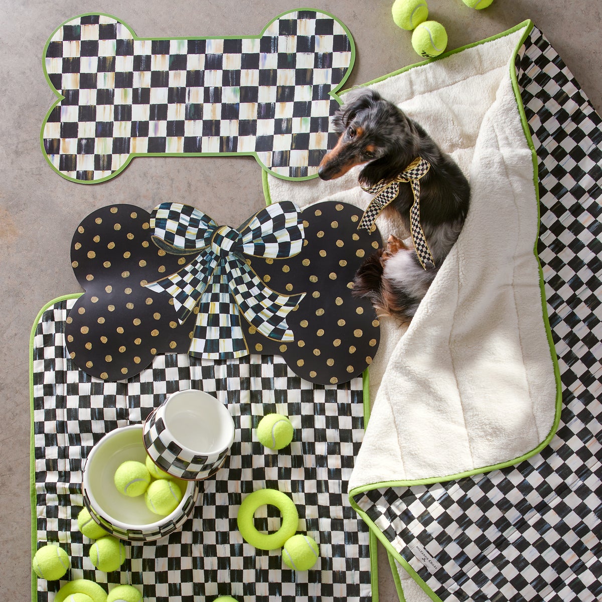 Puppy Placemat - Image 7